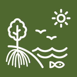 Poluição, recursos hídricos e saneamento (Baía de Ilha Grande)